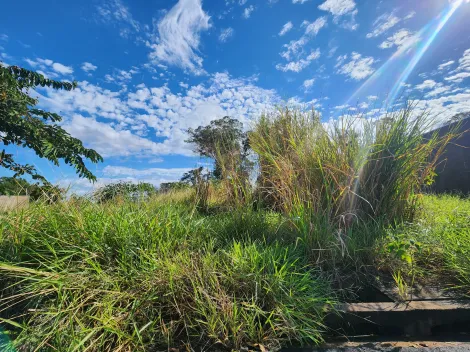 Alugar Terreno / Padr&atilde;o em S&atilde;o Jos&eacute; do Rio Preto. apenas R$ 90.000,00