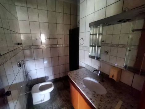 Alugar Apartamento / Padr&atilde;o em S&atilde;o Jos&eacute; do Rio Preto R$ 1.800,00 - Foto 13