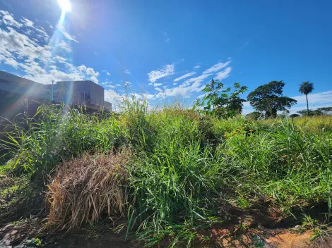 Alugar Terreno / Padr&atilde;o em S&atilde;o Jos&eacute; do Rio Preto. apenas R$ 93.000,00