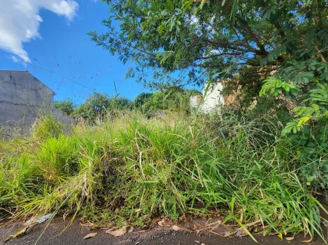 Comprar Terreno / Padr&atilde;o em S&atilde;o Jos&eacute; do Rio Preto R$ 100.000,00 - Foto 2