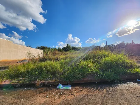 Alugar Terreno / Padr&atilde;o em S&atilde;o Jos&eacute; do Rio Preto. apenas R$ 145.000,00
