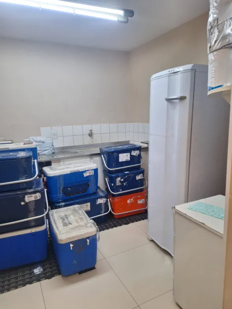 Alugar Comercial / Casa Comercial em S&atilde;o Jos&eacute; do Rio Preto R$ 25.000,00 - Foto 31