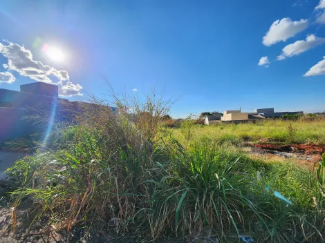 Alugar Terreno / Padr&atilde;o em S&atilde;o Jos&eacute; do Rio Preto. apenas R$ 126.000,00