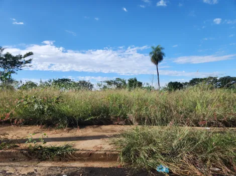 Alugar Terreno / Padr&atilde;o em S&atilde;o Jos&eacute; do Rio Preto. apenas R$ 114.000,00