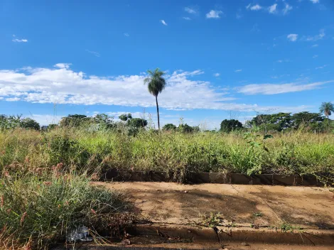 Alugar Terreno / Padr&atilde;o em S&atilde;o Jos&eacute; do Rio Preto. apenas R$ 114.000,00