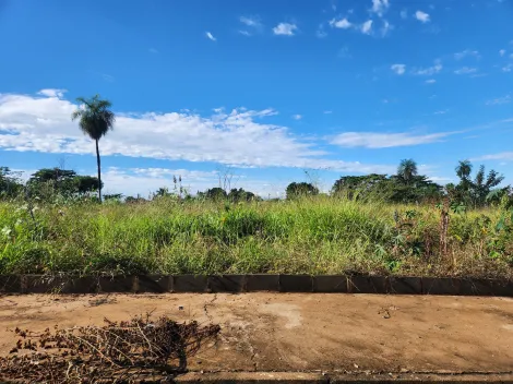 Alugar Terreno / Padr&atilde;o em S&atilde;o Jos&eacute; do Rio Preto. apenas R$ 114.000,00