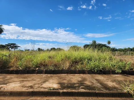 Alugar Terreno / Padr&atilde;o em S&atilde;o Jos&eacute; do Rio Preto. apenas R$ 114.000,00