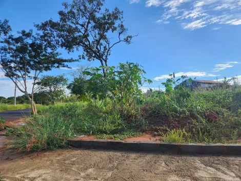 Alugar Terreno / Padr&atilde;o em S&atilde;o Jos&eacute; do Rio Preto. apenas R$ 156.000,00