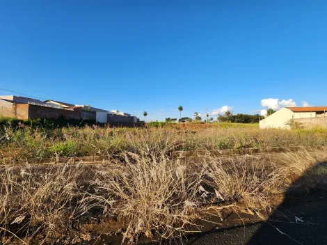 Alugar Terreno / Padr&atilde;o em S&atilde;o Jos&eacute; do Rio Preto. apenas R$ 171.000,00