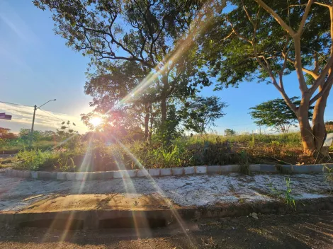 Alugar Terreno / Padr&atilde;o em S&atilde;o Jos&eacute; do Rio Preto. apenas R$ 108.000,00