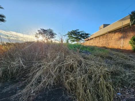 Alugar Terreno / Padr&atilde;o em S&atilde;o Jos&eacute; do Rio Preto. apenas R$ 114.000,00