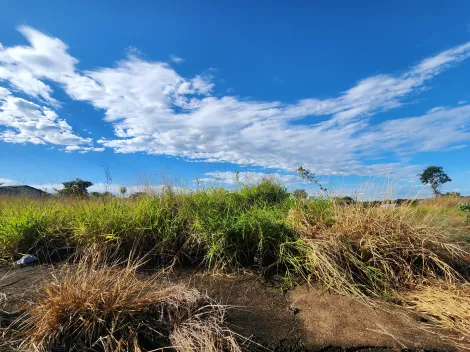 Alugar Terreno / Padr&atilde;o em S&atilde;o Jos&eacute; do Rio Preto. apenas R$ 113.000,00