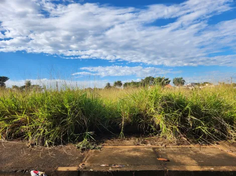 Alugar Terreno / Padr&atilde;o em S&atilde;o Jos&eacute; do Rio Preto. apenas R$ 113.000,00