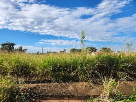 Alugar Terreno / Padr&atilde;o em S&atilde;o Jos&eacute; do Rio Preto. apenas R$ 113.000,00