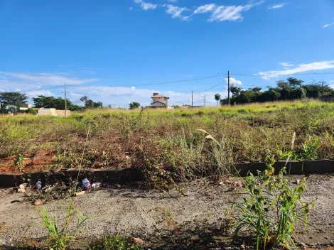 Alugar Terreno / Padr&atilde;o em S&atilde;o Jos&eacute; do Rio Preto. apenas R$ 113.000,00