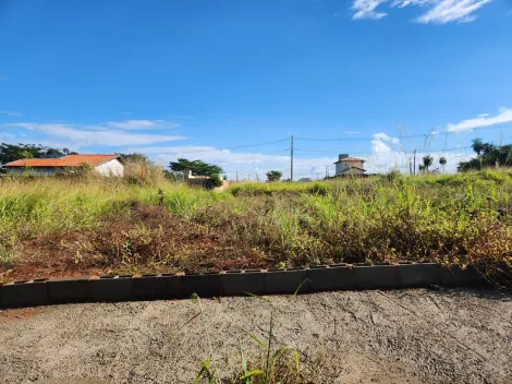 Alugar Terreno / Padr&atilde;o em S&atilde;o Jos&eacute; do Rio Preto. apenas R$ 113.000,00