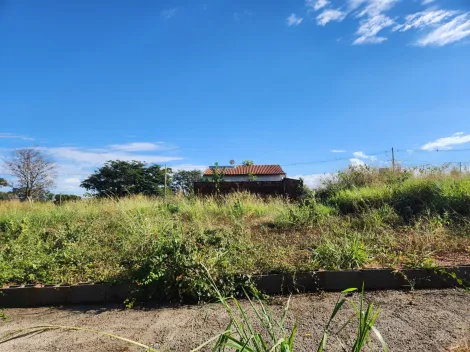 Alugar Terreno / Padr&atilde;o em S&atilde;o Jos&eacute; do Rio Preto. apenas R$ 113.000,00