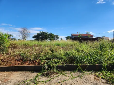 Alugar Terreno / Padr&atilde;o em S&atilde;o Jos&eacute; do Rio Preto. apenas R$ 113.000,00