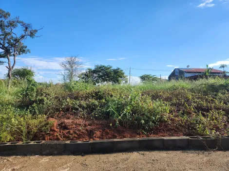 Alugar Terreno / Padr&atilde;o em S&atilde;o Jos&eacute; do Rio Preto. apenas R$ 113.000,00