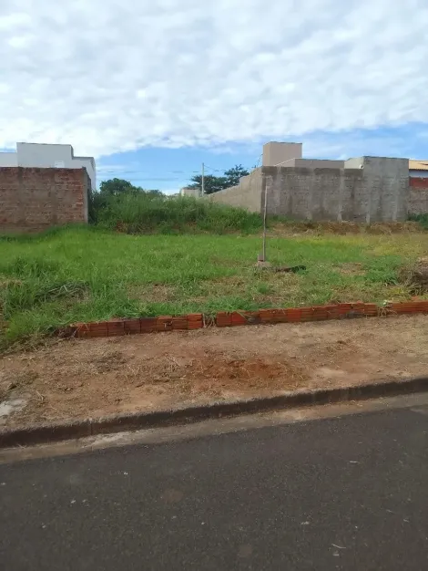 Alugar Terreno / Padr&atilde;o em S&atilde;o Jos&eacute; do Rio Preto. apenas R$ 110.000,00