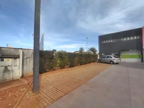Comercial / Sal&atilde;o em S&atilde;o Jos&eacute; do Rio Preto 