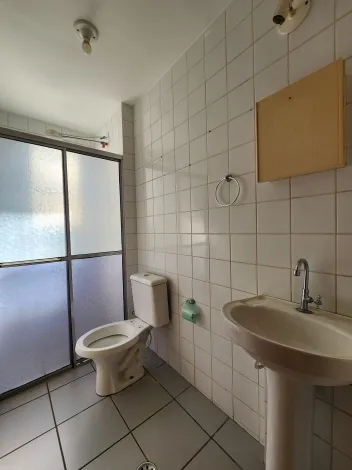 Alugar Apartamento / Padr&atilde;o em S&atilde;o Jos&eacute; do Rio Preto R$ 1.100,00 - Foto 6