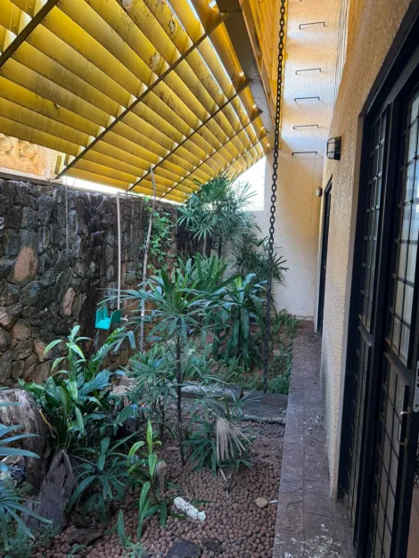 Alugar Casa / Padr&atilde;o em S&atilde;o Jos&eacute; do Rio Preto R$ 6.800,00 - Foto 44