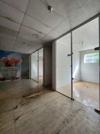 Comprar Comercial / Pr&eacute;dio Inteiro em Votuporanga R$ 3.500.000,00 - Foto 4