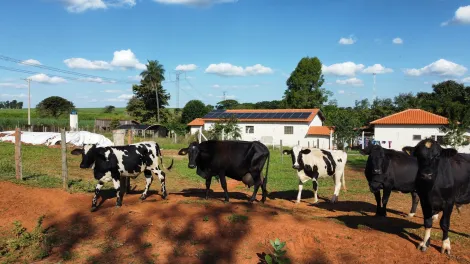 Comprar Rural / S&iacute;tio em Monte Apraz&iacute;vel R$ 3.500.000,00 - Foto 8