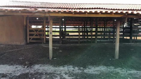 Comprar Rural / S&iacute;tio em Monte Apraz&iacute;vel R$ 3.500.000,00 - Foto 12