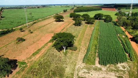 Comprar Rural / S&iacute;tio em Monte Apraz&iacute;vel R$ 3.500.000,00 - Foto 18