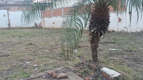 Comprar Terreno / Padr&atilde;o em S&atilde;o Jos&eacute; do Rio Preto R$ 450.000,00 - Foto 3