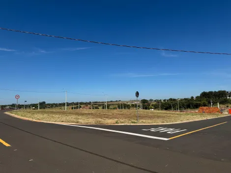 Alugar Terreno / Condom&iacute;nio em S&atilde;o Jos&eacute; do Rio Preto. apenas R$ 511.000,00