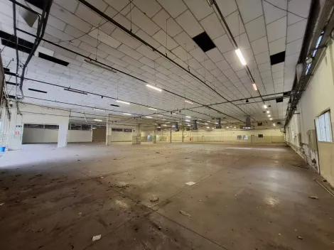Alugar Comercial / Sal&atilde;o em S&atilde;o Jos&eacute; do Rio Preto R$ 60.000,00 - Foto 3