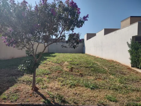 Terreno / Condom&iacute;nio em Bady Bassitt 