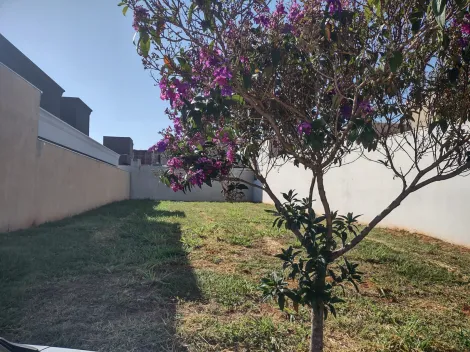 Comprar Terreno / Condom&iacute;nio em Bady Bassitt R$ 315.000,00 - Foto 2