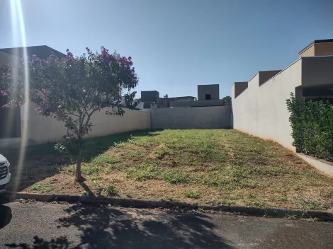 Comprar Terreno / Condom&iacute;nio em Bady Bassitt R$ 315.000,00 - Foto 3