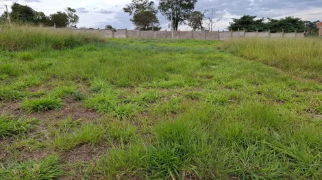 Comprar Terreno / Condom&iacute;nio em S&atilde;o Jos&eacute; do Rio Preto R$ 310.000,00 - Foto 4