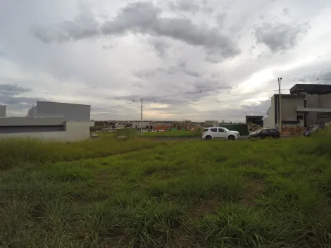 Comprar Terreno / Condom&iacute;nio em S&atilde;o Jos&eacute; do Rio Preto R$ 310.000,00 - Foto 8