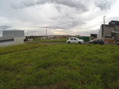 Comprar Terreno / Condom&iacute;nio em S&atilde;o Jos&eacute; do Rio Preto R$ 310.000,00 - Foto 9