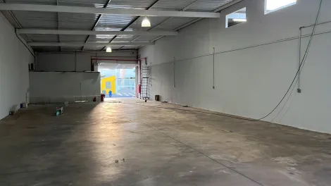 Comercial / Sal&atilde;o em S&atilde;o Jos&eacute; do Rio Preto 