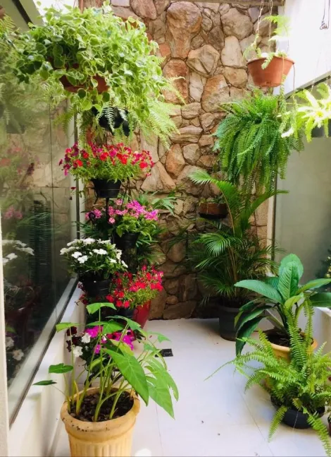 Comprar Casa / Padr&atilde;o em S&atilde;o Jos&eacute; do Rio Preto R$ 950.000,00 - Foto 11