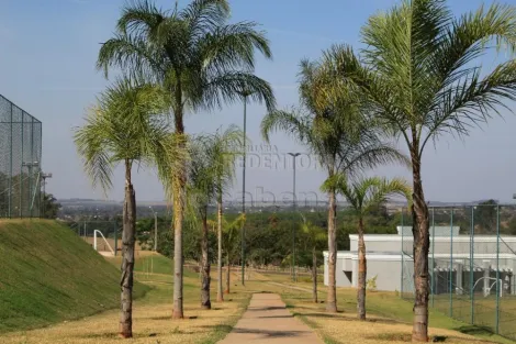 Comprar Terreno / Condom&iacute;nio em Ipigu&aacute; R$ 95.000,00 - Foto 3