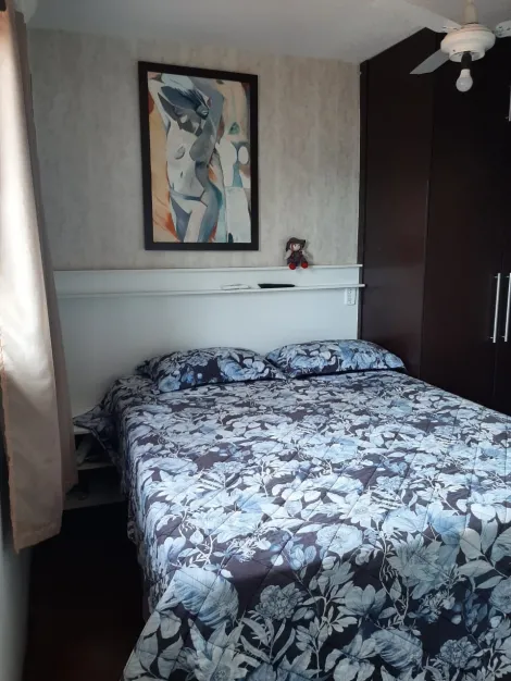 Comprar Casa / Condom&iacute;nio em S&atilde;o Jos&eacute; do Rio Preto R$ 550.000,00 - Foto 11