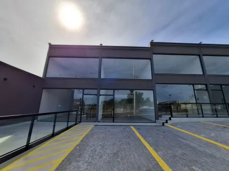 Alugar Comercial / Sal&atilde;o em S&atilde;o Jos&eacute; do Rio Preto R$ 3.000,00 - Foto 7