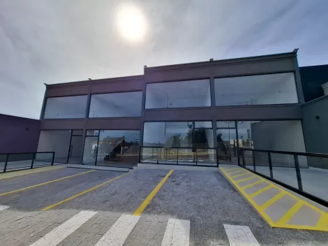 Alugar Comercial / Sal&atilde;o em S&atilde;o Jos&eacute; do Rio Preto R$ 3.000,00 - Foto 7