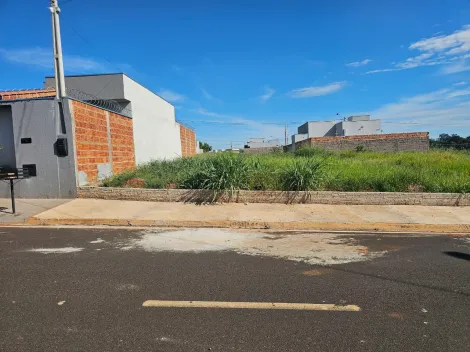 Terreno / Padr&atilde;o em Mirassol 
