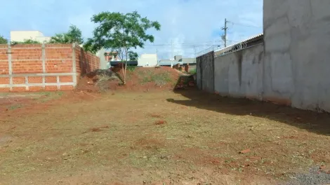 Terreno / Padr&atilde;o em Mirassol 