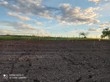Comprar Terreno / Padr&atilde;o em Ibir&aacute; R$ 42.500,00 - Foto 6