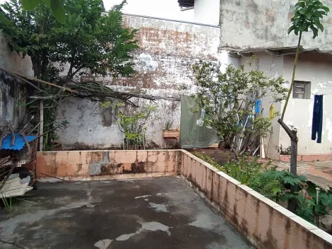 Comprar Casa / Padr&atilde;o em S&atilde;o Jos&eacute; do Rio Preto R$ 350.000,00 - Foto 12